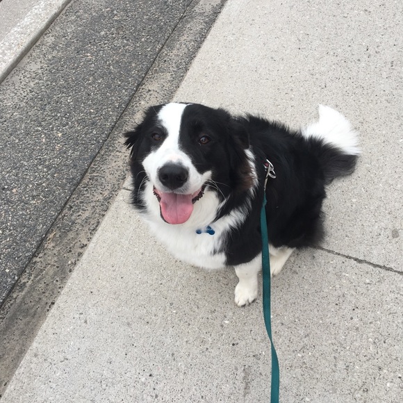 Meet your Posher, Saree - Picture 1 of 1